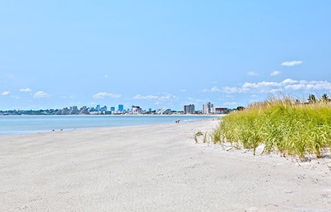 Pets can enjoy a long walk on the beach