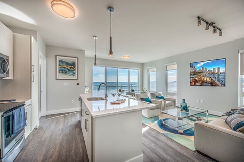 Model Unit - Kitchen and Living Area